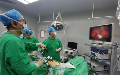 海医二院东湖综合外科高质量完成1例高龄患者腔镜下肠癌根治术+左输尿管切开取石术