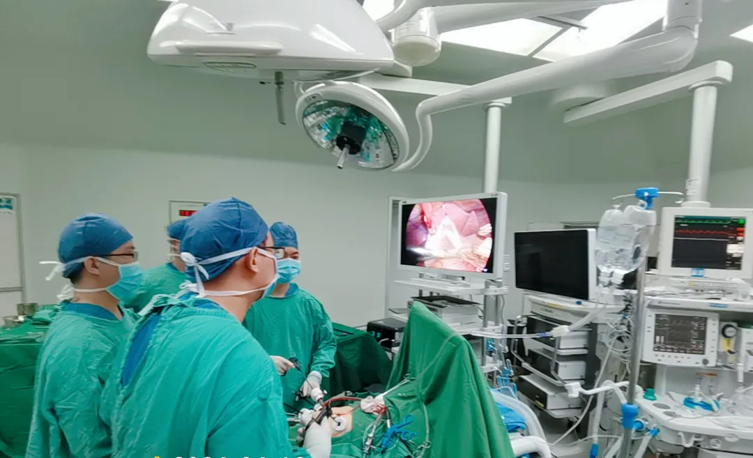 海南省人民医院肝脏外科成功为七旬阿婆实施腹腔镜下胰十二指肠切除术